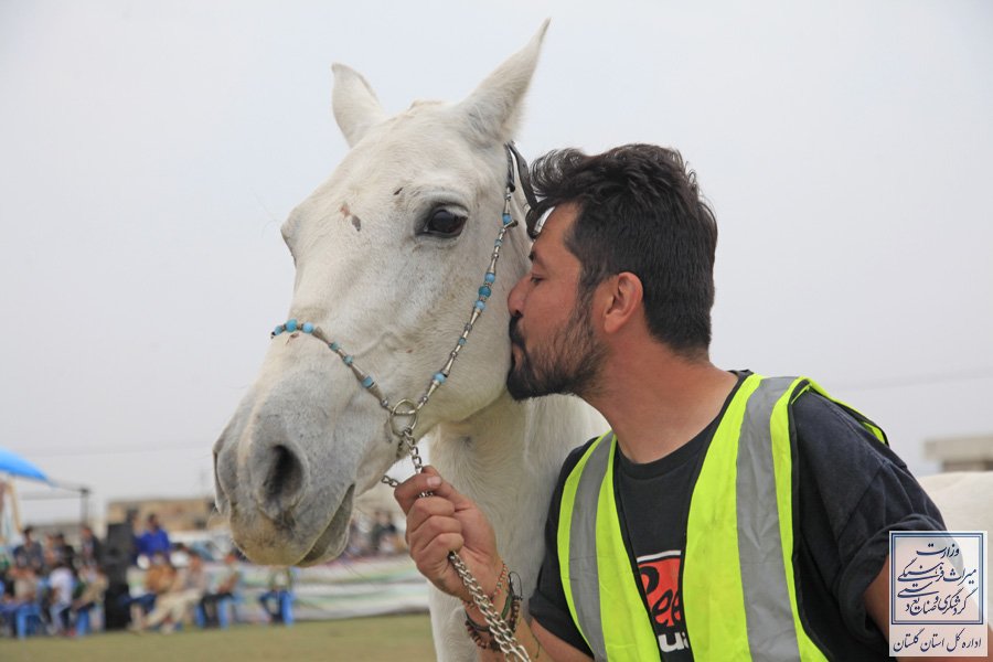 تصاویری از حال و هوای پانزدهمین دوره جشنواره ملی زیبایی اسب ترکمن