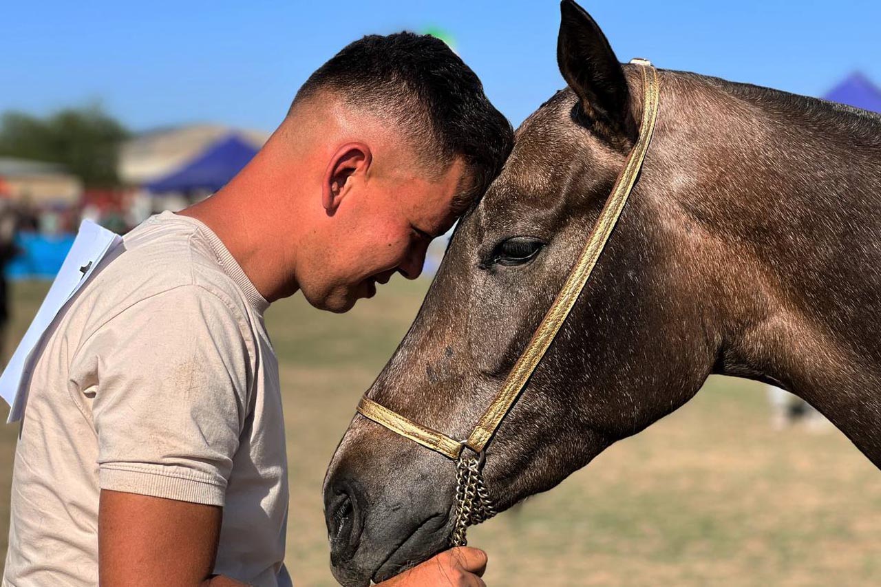 گزارش تصویری از هفدهمین جشنواره ملی زیبایی اسب اصیل ترکمن 